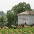 최순호농장 이미지