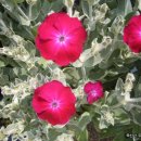 두꺼비농장 이미지