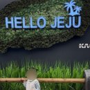 새왓댁스테이