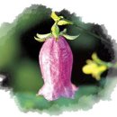 따뜻한마음 이미지
