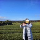 표선면 구룡밭식당 앞 | [제주] 동백 이즈 윈터 투어｜겨울 제주 4일 여행기 Day 3 풀버전