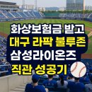 대구 삼성라이온즈파크 블루존 직관후기 티켓팅 꿀팁
