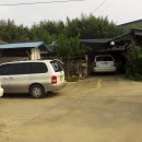 대동농약사 이미지