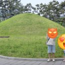 경주문화유산해설 | 26.05.02 경주시티투어버스 문화유산 투어버스 후기 (경주여행 아이랑)