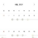 펫플래닛