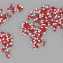 독도꽃새우 이미지