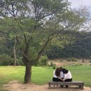 어울림하우스 2 | 안동 | 안동 숙소 추천 어울림 게스트하우스 후기 , 안동 여행 , 안동 나들이 코스 추천 ☁️☁️