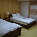 포레스트12 이미지