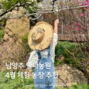 배꽃농장 | 남양주 안나농원 배꽃 체험 | 서울 근교 체험 농장 아이랑 가볼만한곳