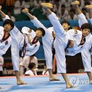 영화태권도체육관 이미지