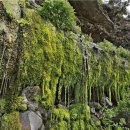 고산엉알 이미지