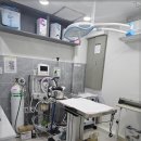 도담동물병원 이미지