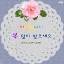 안*식
