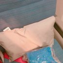 에이원이코노미호텔 | 터키항공 후기 인천공항 -> 이스탄불 공항 경유 -> 파리공항까지~!