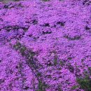 너릿재구도로 이미지