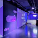 남강 세탁소 | [서울/중구/종각] K-POP부터 미디어아트까지, 하이커 그라운드