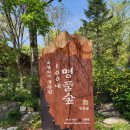 숲해설가와 떠나는 숲 나들이 -백양산 탐방 | 숲에서 길을 찾다, 남양주 청년도전지원사업과 함께 한 광릉수목원 이야기