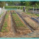 어진농장 이미지