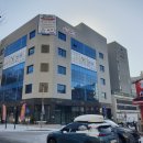 용인대 비상 태권도장 이미지