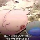 에피티 네이버블로그
