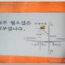 도솔식당 Daum카페