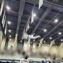 Team태권도장 이미지