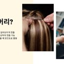 유성머리염색 네이버블로그