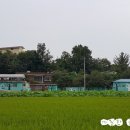 강주마을회관 이미지