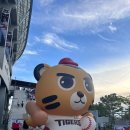 최강 기아타이거즈 광주챔피언스필드 직관 후기