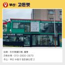 고든펫 이미지
