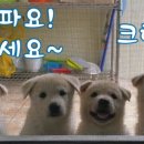 밥주세요 - 여수시 | 밥주세요