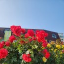 송이공원 화장실 이미지