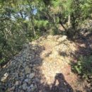 장수굴농장 이미지