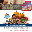 블루버니 이미지