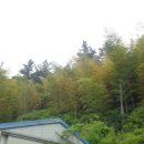 회성동267 이미지