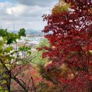 완산-48 이미지