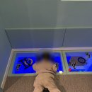 키즈필키즈카페 | [평택 고덕 키즈카페] 깔끔한 키카를 찾는다면 원더필 키즈카페
