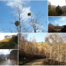 2월3일(토) 평지길에서 걷는 자유로운 일탈-- 김천 수도녹색 숲 모티길 이미지