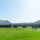 알음알음제주 이미지