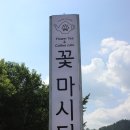 꽃마시다 이미지