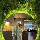 양산튀김 | 양산역 핫플술집 맥주고깐 양산중부점 중부동핫플 양산 핫플술집