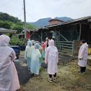 하가막마을 이미지