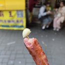 대만 타이베이 근교 여행 예스지 버스투어 후기!