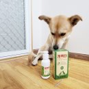 다온메디케어 네이버블로그