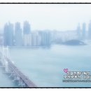 W센트럴공인중개사사무소 이미지