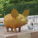 황금돼지 이미지