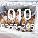 이보푸드 이미지