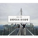 SKY당구장 | [여행] 용평리조트 타워콘도ㅣ모나용평ㅣ워터파크ㅣ발왕산 케이블카ㅣ스카이워크ㅣ내돈내산 후기