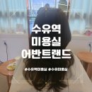 크리스탈 반려견미용실 | 편안한 분위기의 수유역미용실 추천 어반트랜드 염색 대만족 후기