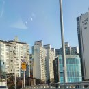 남대문대도집 | 남대문 쇼핑 부자재 포장용품 리본 문구 대도지물 도매 방문 후기 남대문 주차정보